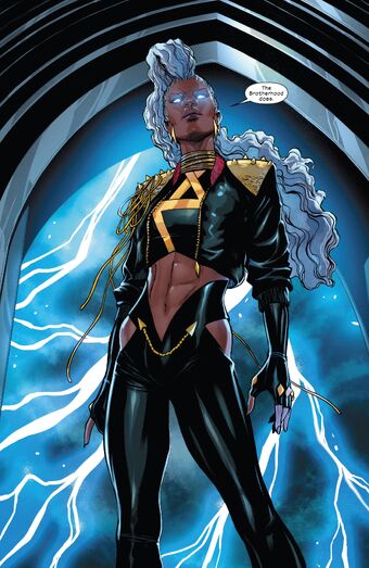アメコミ・英語　全2巻セット STORM ストーム オロロ・マンロー Storm (Marvel) | All Worlds Alliance Wiki | Fandom
