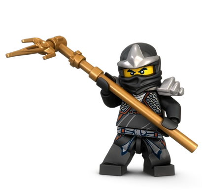 Cole 2025 zx ninjago