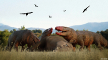 Barinasuchus