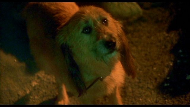 This Quiz Will Tell You Which Grinch You Are Grinch, Mr grinch, Benedict cumberb