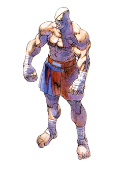 Illustration + digital enhancement Ryu vs Sagat, Street Fighter IV, Capcom