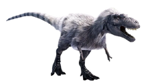 Albertosaurus