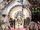 Unsong Cosmology
