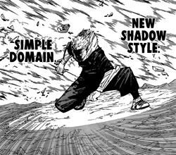 Yuji's Simple Domain