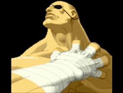 Day 16 of the evolution of street fighter themes. Today is Sagat. #str