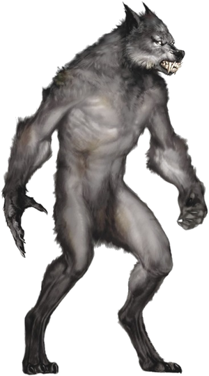 Werewolf, Van Helsing Wiki, FANDOM powered by Wikia