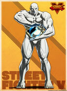 Street Fighter V