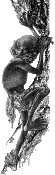 File:Gollum by saulone.jpg - Wikimedia Commons