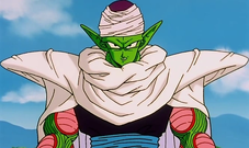 Piccolo