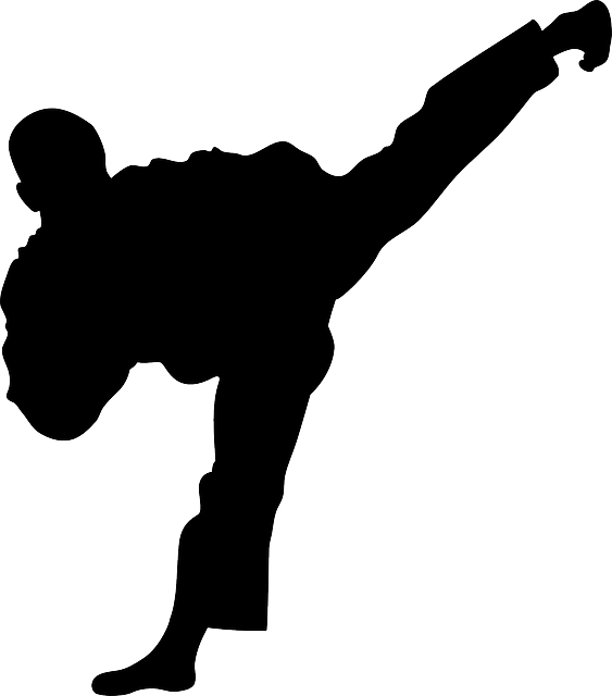 Martial Arts VsDebating Wiki Fandom