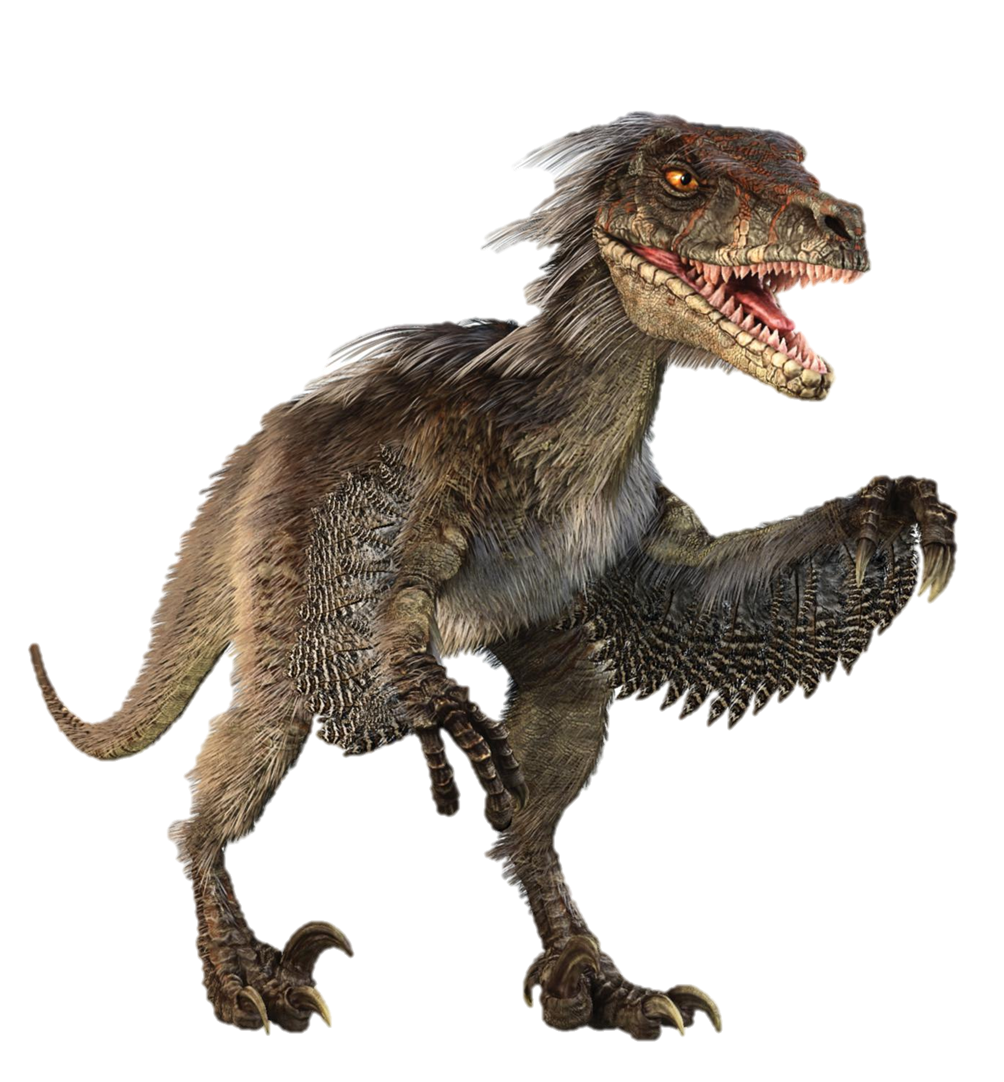 Velociraptor - Wikipedia