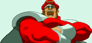 M. Bison