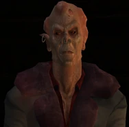 Bertram Tung (579 kB) Bertram Tung