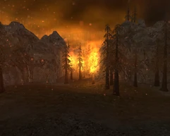 Incendio en parque griffith