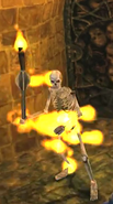 Skeleton Fire