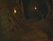 The tunnels are built around building foundations and tree roots