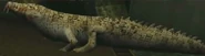 Ghoul Alligator
