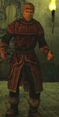 Medieval Wilhem in Leather  or Studded Leather