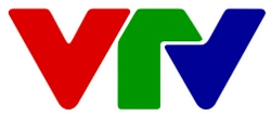 VTV logo 2013