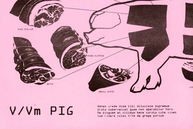 Masters Of The Absurd | V/Vm Wiki | Fandom