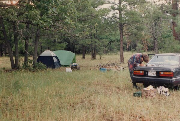 Summer Tour 94 10 national forest