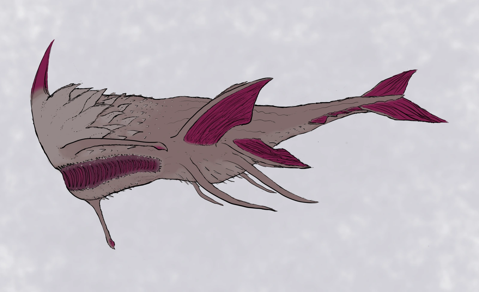 baleines du vide osradiennes wiki w40k fluff fan fandom