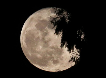 Lune.png