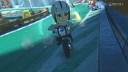 Millie in Mario Kart 8.