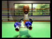Wii Sports - Boxing - Throwing Punches