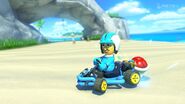 Rui-Lin in Mario Kart 8.