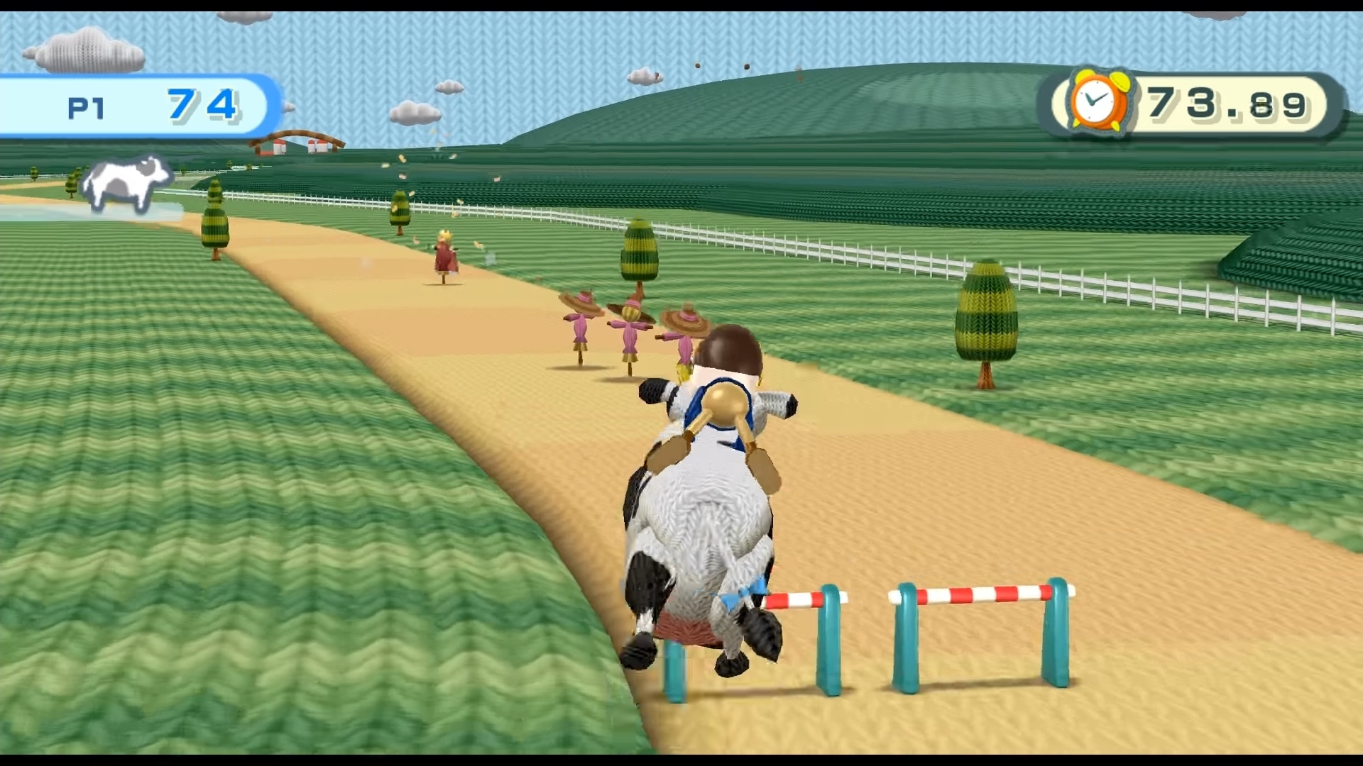 cow racing