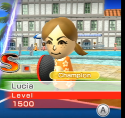 Wii sports resort champions sale