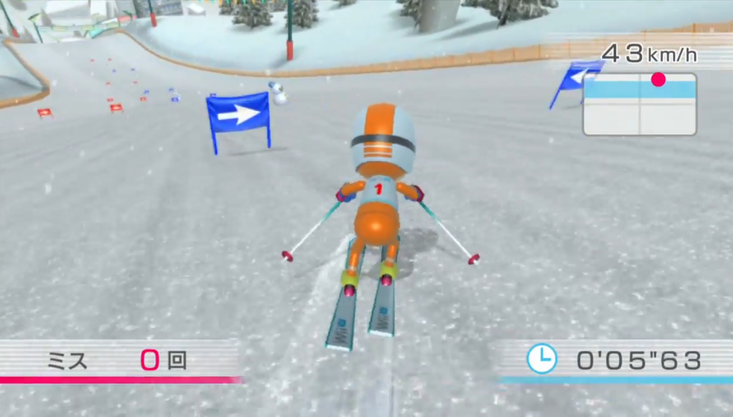 Ski Slalom | Wii Sports Wiki | Fandom