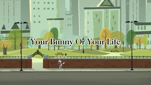 Your Bunny or Your Life