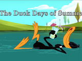 The Duck Days of Summer