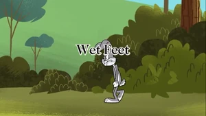 Wet Feet