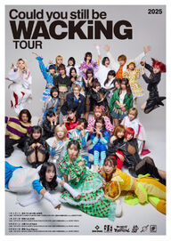 Wack-wackingtour-artistposter
