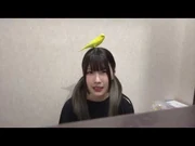 スズノ_豆柴の大群なりの合宿【候補生自作動画公開！】