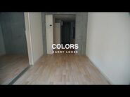 CARRY LOOSE 「COLORS」MUSIC VIDEO