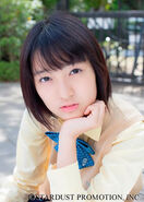 2012 (Stardust Promotion)