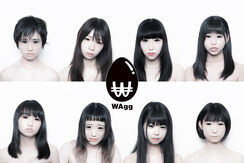 WAgg.jpg