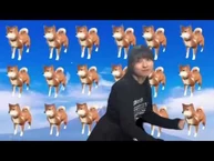 シオン_豆柴の大群なりの合宿【候補生自作動画公開！】