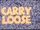 CARRY LOOSE (Digital Single)