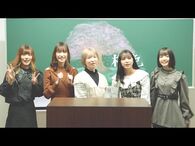 豆柴の大群_「桜色」_LYRiC_ViDEO