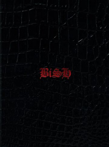 BiSH ピクセルパーカー stereo future 新品未開封 BiSH ピクセルパーカー XL stereo future
