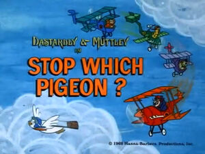 Wr dm stop which pigeon.jpg