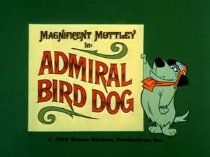 Wr dm admiral bird dog