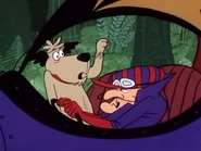 "The Wrong Lumber Race"