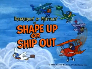 Wr dm shape up.jpg