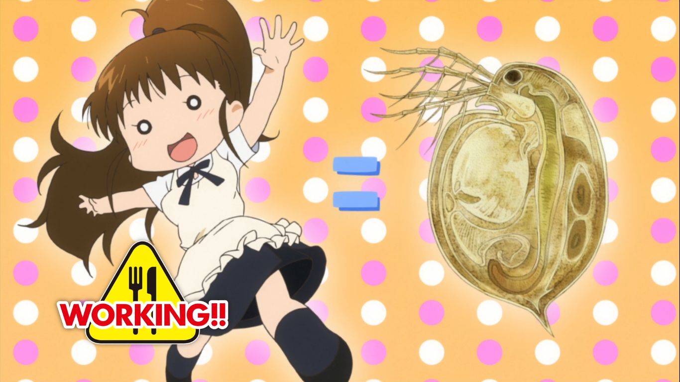 Episode 1 | Working!! Wiki | Fandom Episode 1 | Working!! Wiki | Fandom